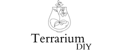 Terrarium DIY